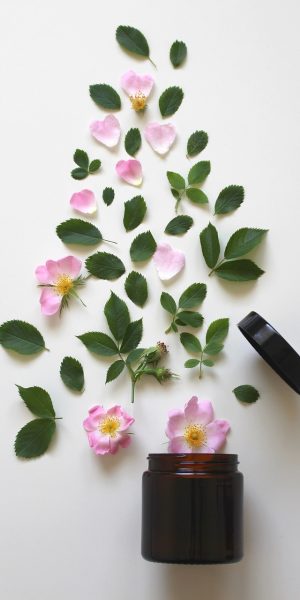 natural-cosmetics-ga8a23037c_1280